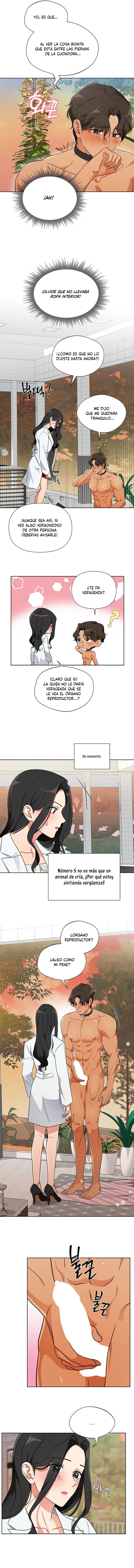 7 Los machos del cuarto de cría