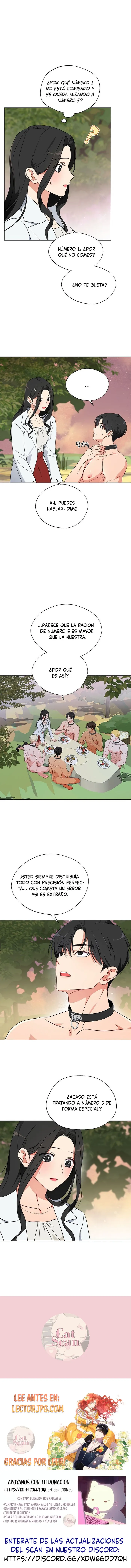 6 Los machos del cuarto de cría