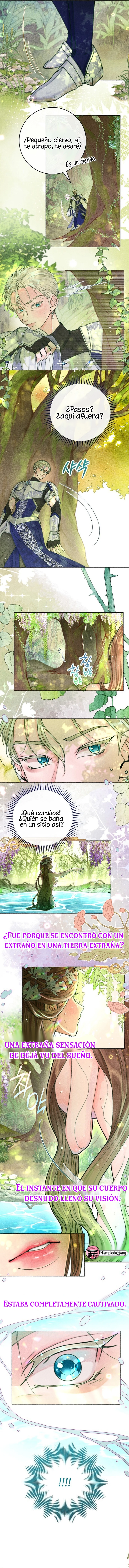 12 Noches de pasión y magia