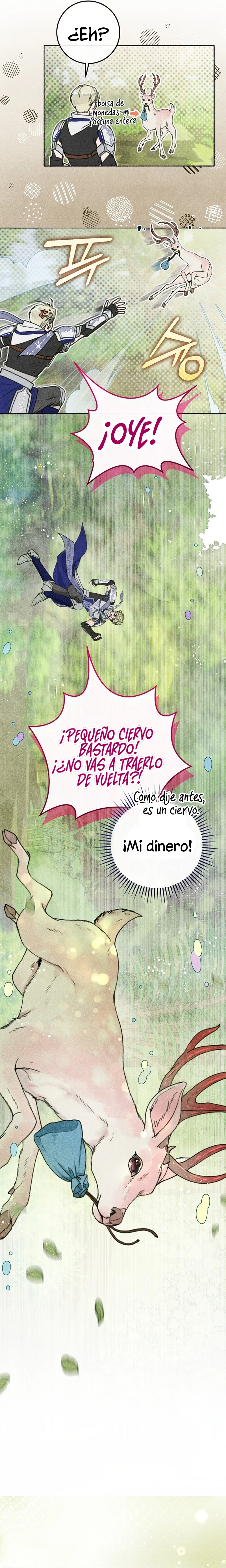 11 Noches de pasión y magia