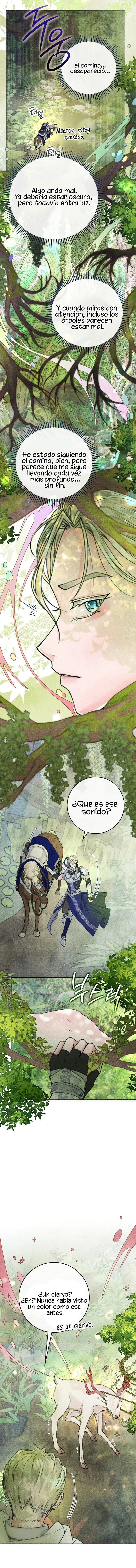 9 Noches de pasión y magia