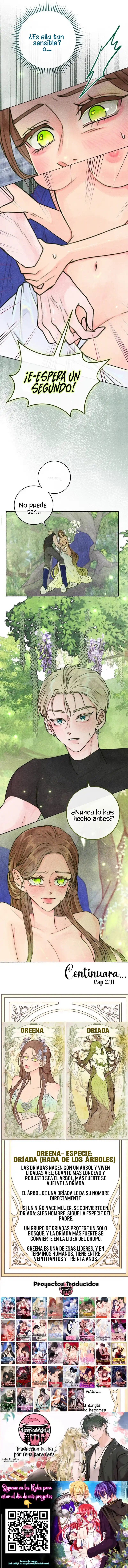 13 Noches de pasión y magia