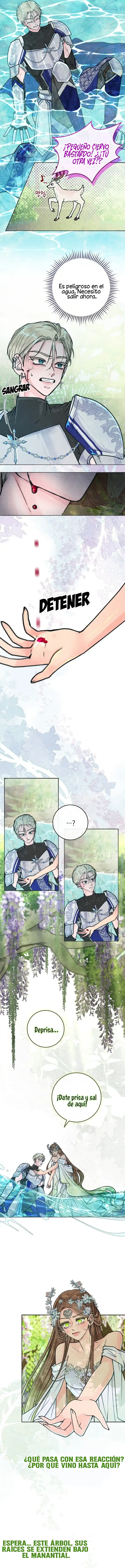 8 Noches de pasión y magia