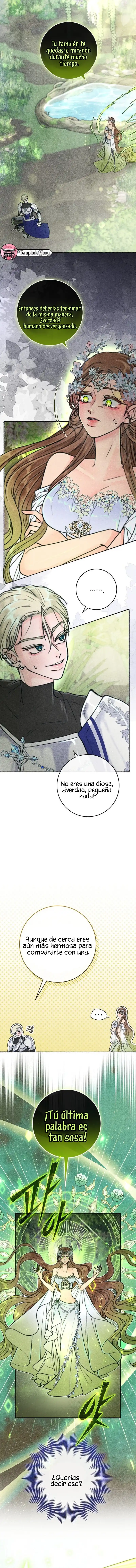 5 Noches de pasión y magia