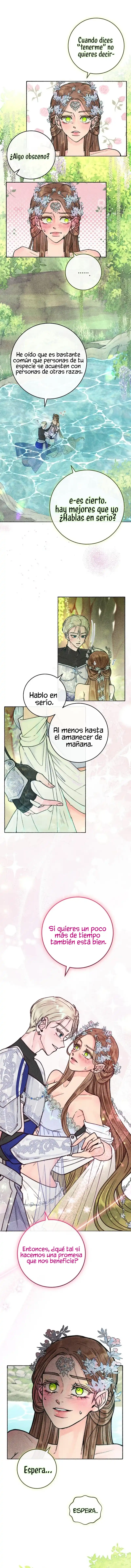 11 Noches de pasión y magia