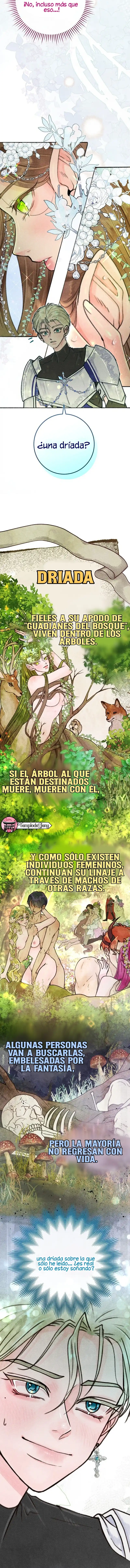 2 Noches de pasión y magia