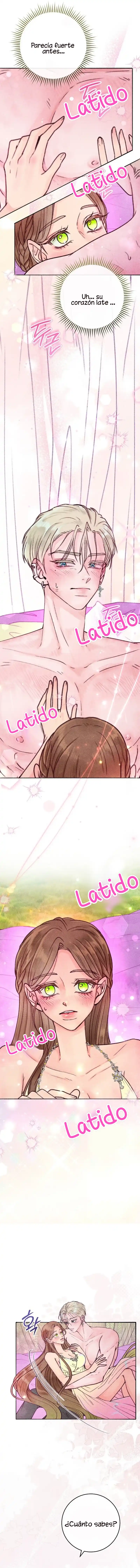 6 Noches de pasión y magia