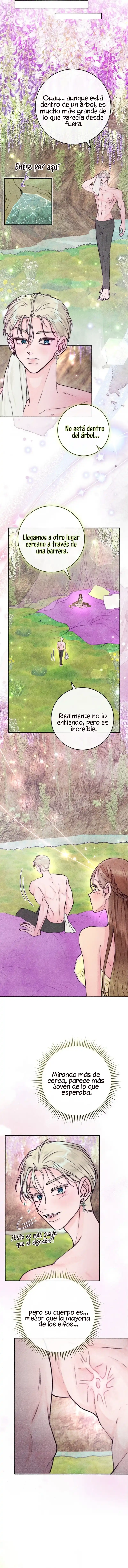 4 Noches de pasión y magia