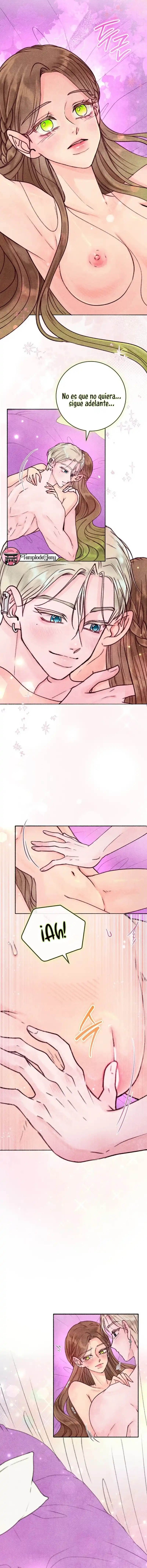 9 Noches de pasión y magia