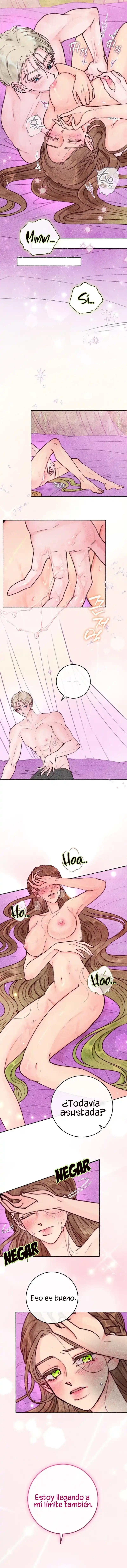 11 Noches de pasión y magia