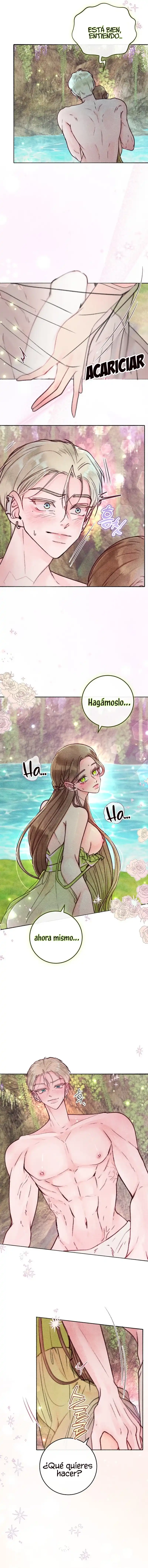 5 Noches de pasión y magia