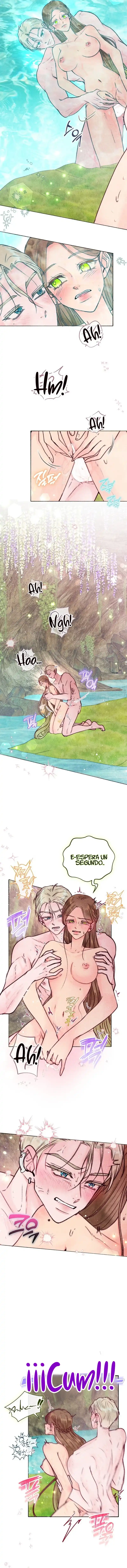 8 Noches de pasión y magia