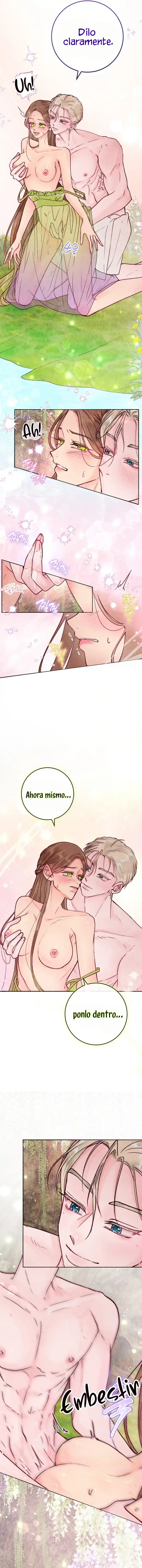 6 Noches de pasión y magia