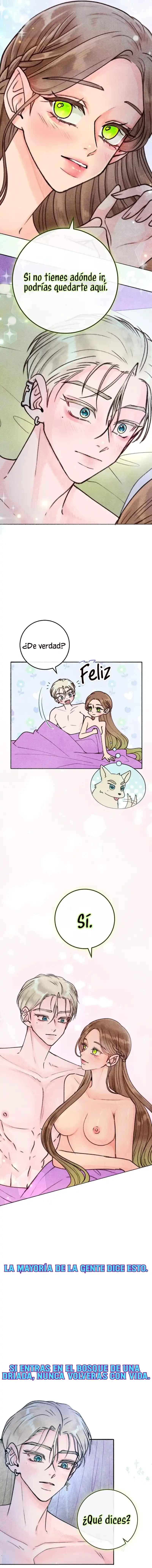 11 Noches de pasión y magia