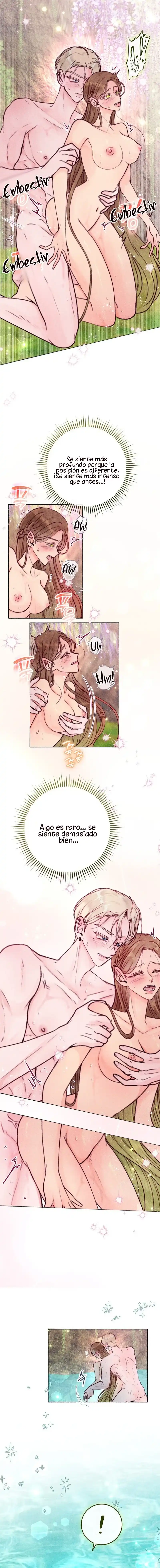 7 Noches de pasión y magia