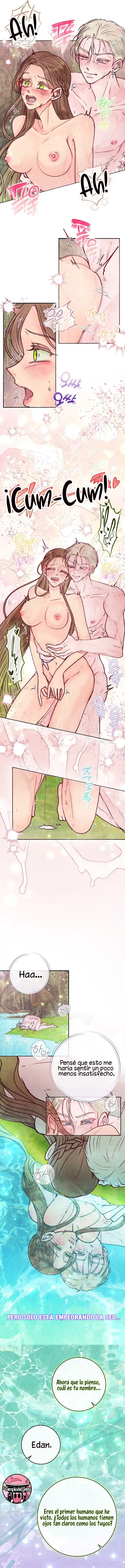 9 Noches de pasión y magia