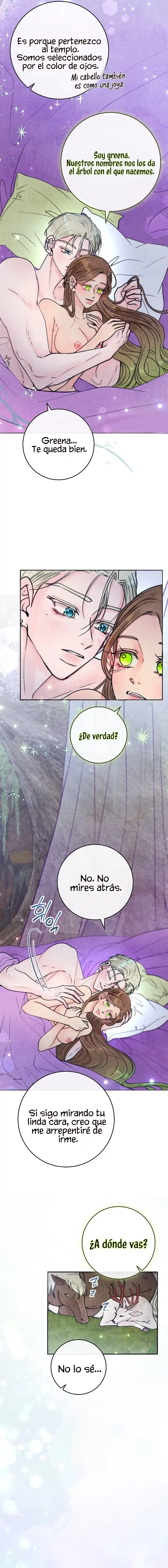 10 Noches de pasión y magia