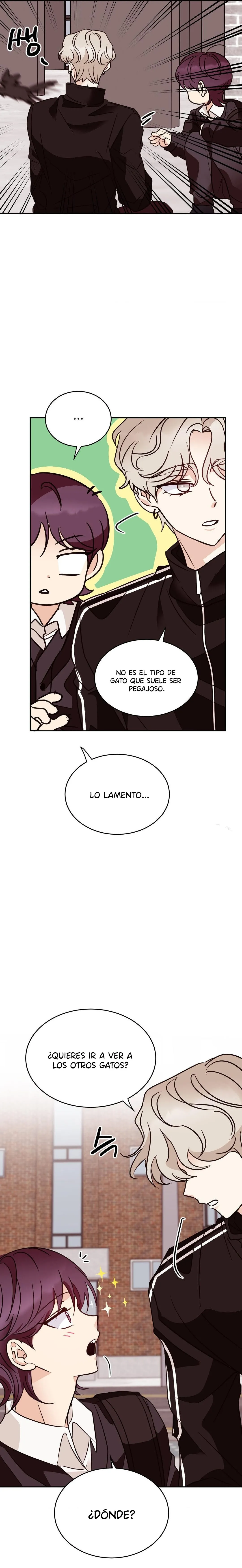 7 Amor no correspondido