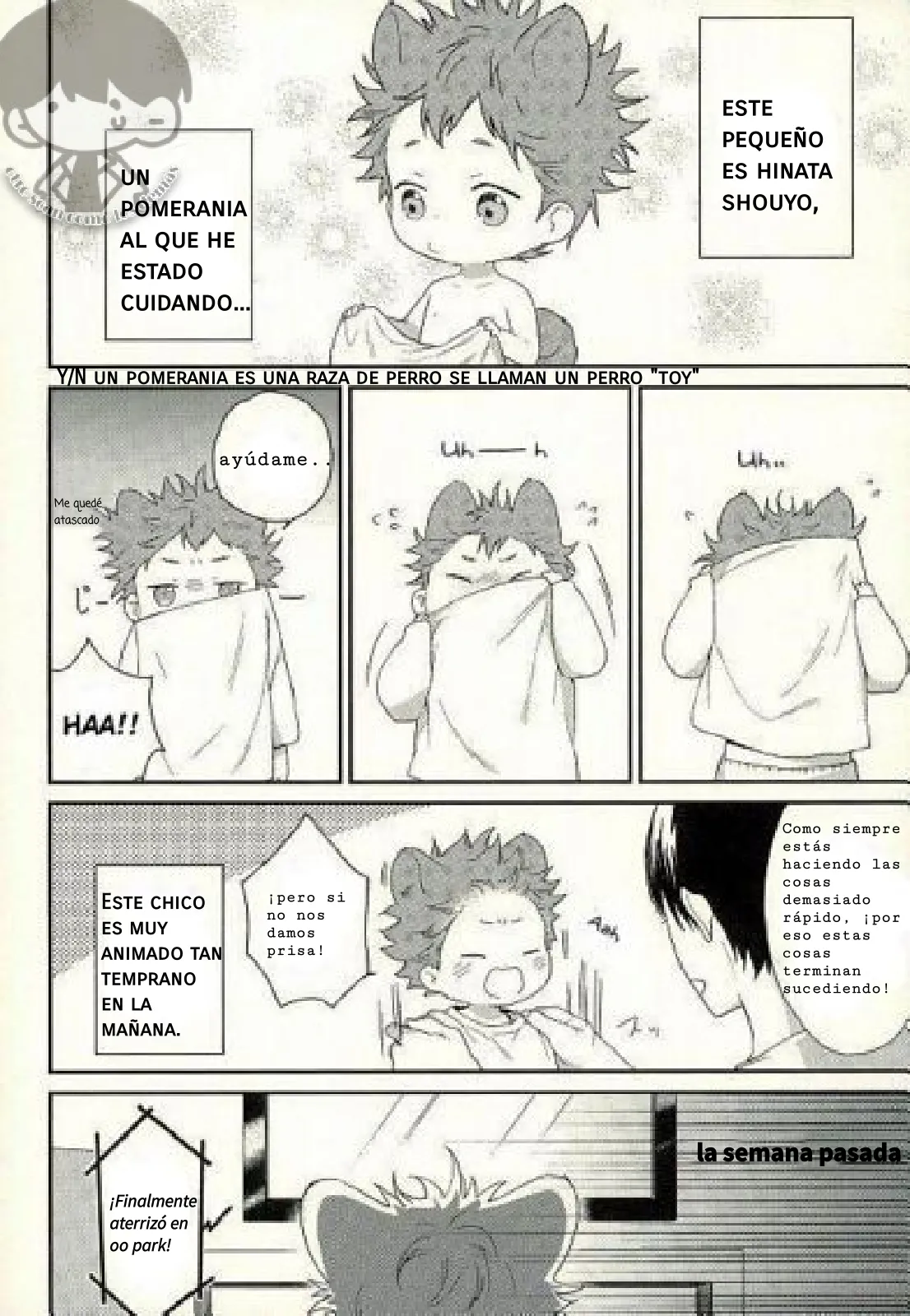 5 ¡¡Haikyu!! -¡Oye, Kageyama! (Doujinshi)