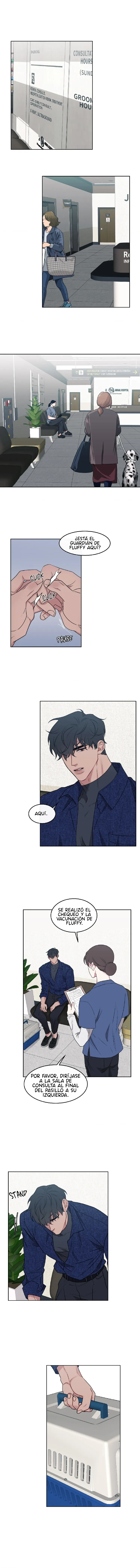 8 shinsujeon