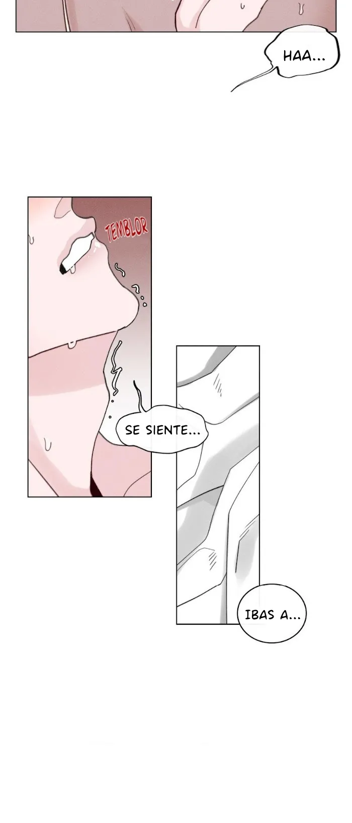 14 shinsujeon