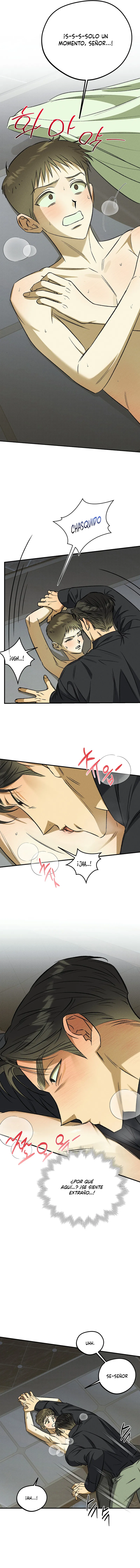 5 Espíritu recolector