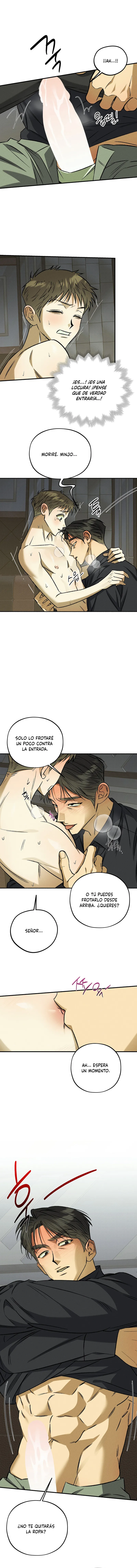 8 Espíritu recolector