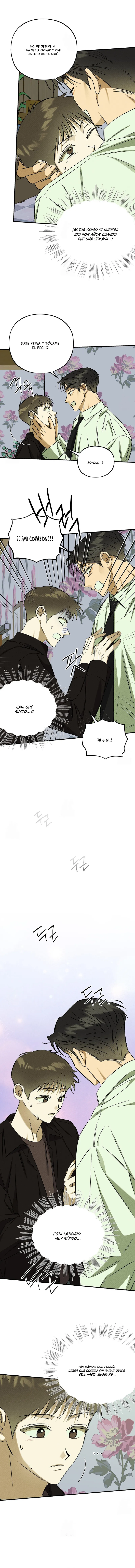 8 Espíritu recolector