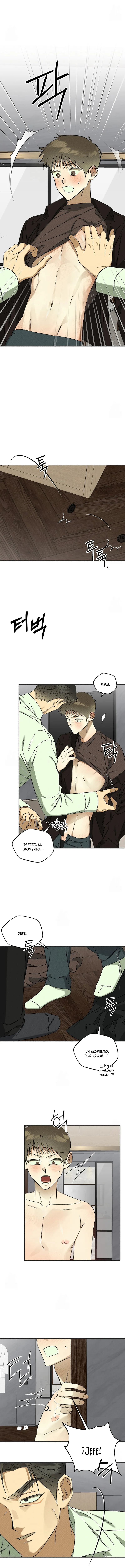 7 Espíritu recolector