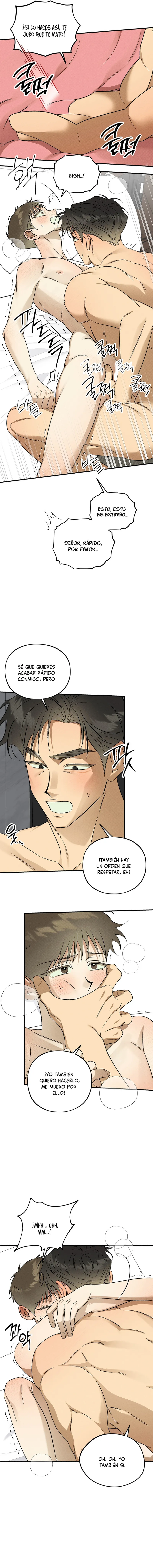 7 Espíritu recolector