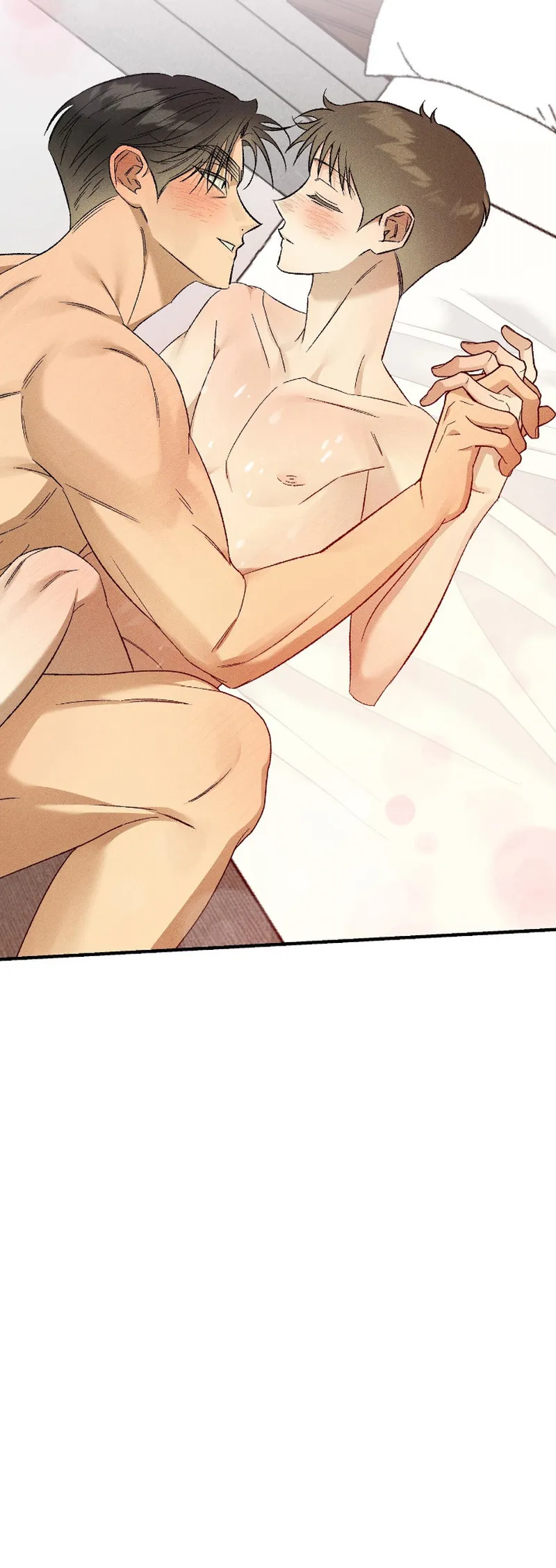 12 Espíritu recolector