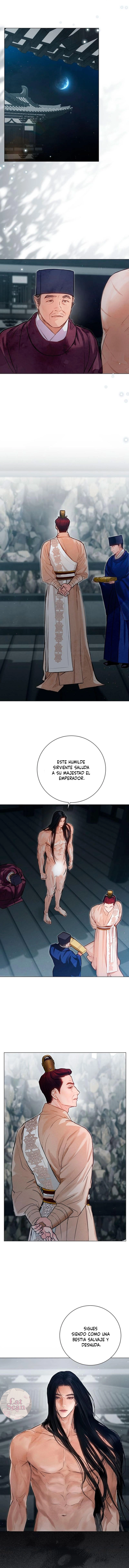 7 Noche vieja