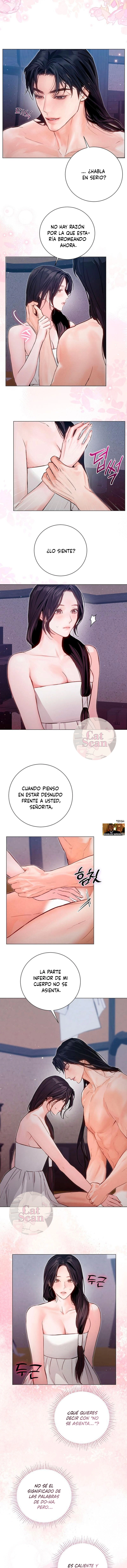 1 Noche vieja