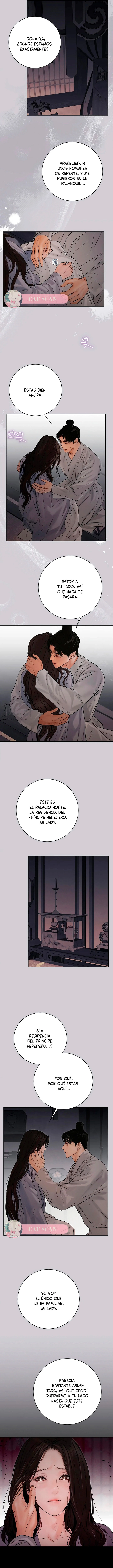 7 Noche vieja