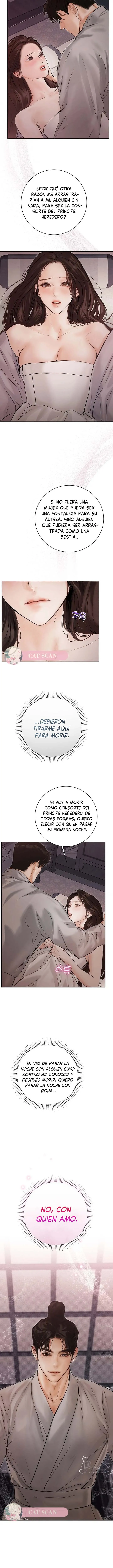 4 Noche vieja