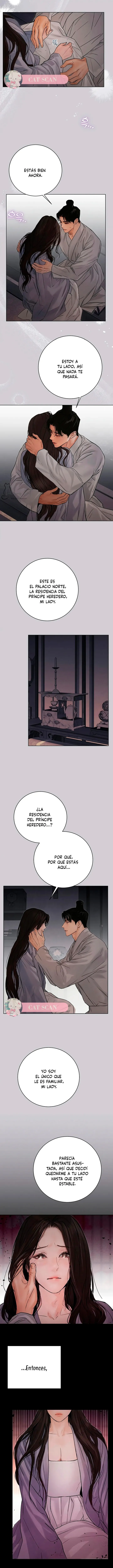11 Noche vieja