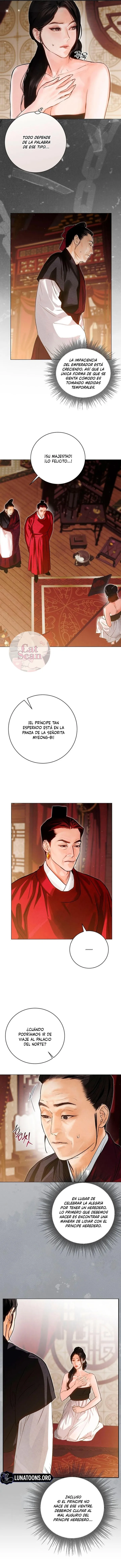 7 Noche vieja