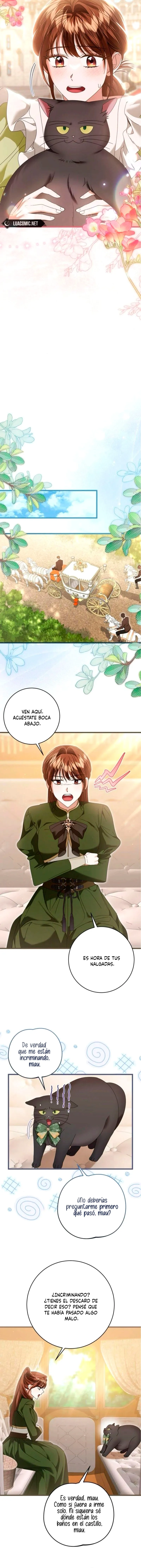 12 El primer amor es asi, su majestad