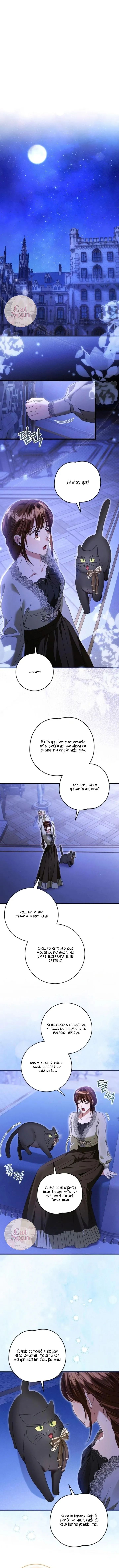 4 El primer amor es asi, su majestad