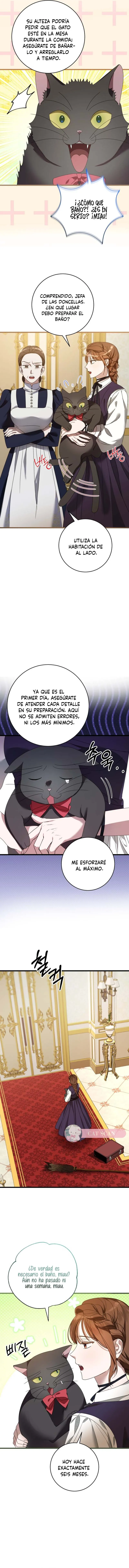18 El primer amor es asi, su majestad