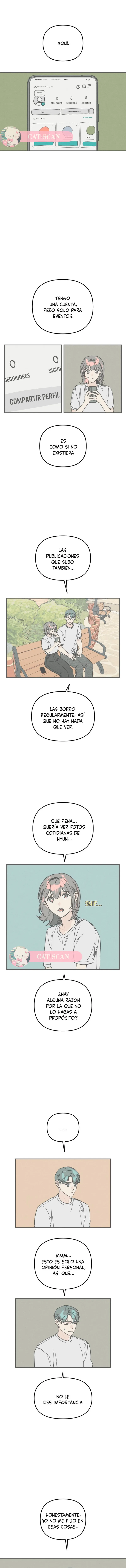 4 Té de Burbujas