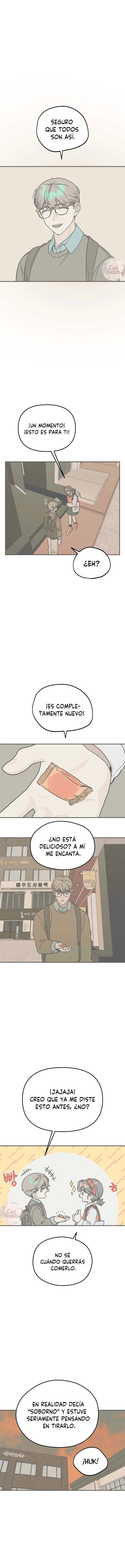 14 Té de Burbujas