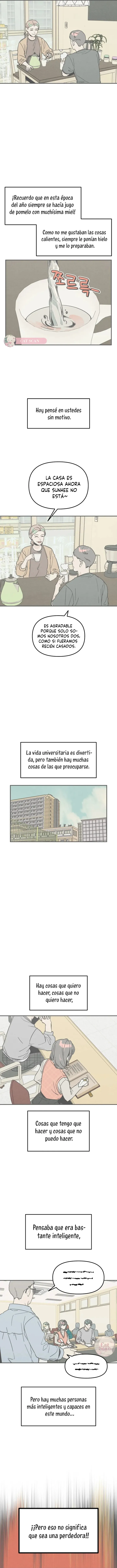 9 Té de Burbujas