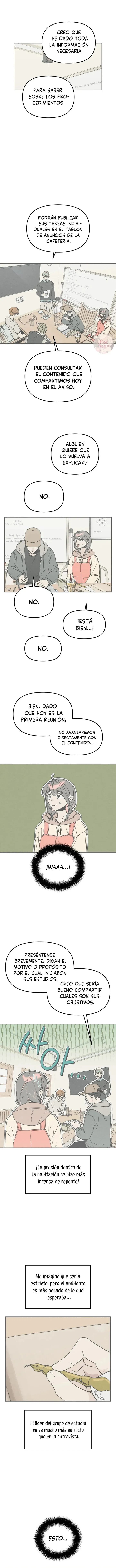 4 Té de Burbujas