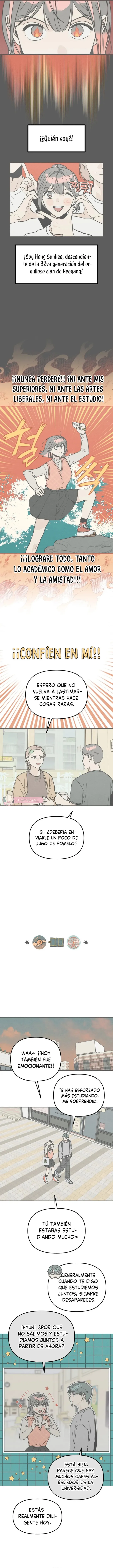 10 Té de Burbujas