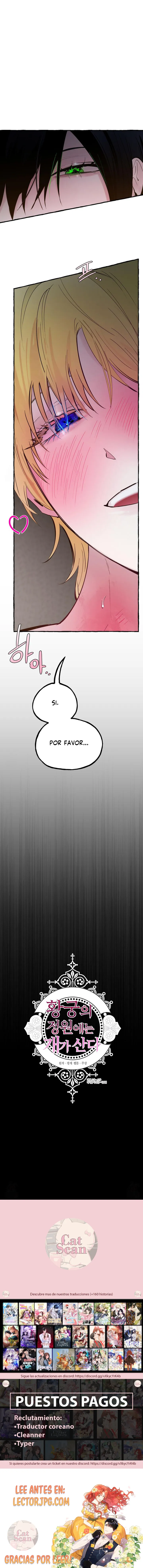 7 Dome al perro del palacio