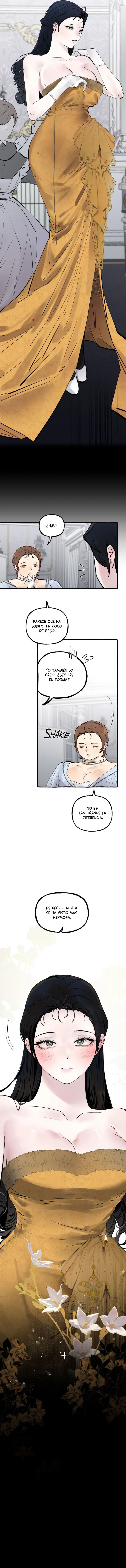 12 Dome al perro del palacio