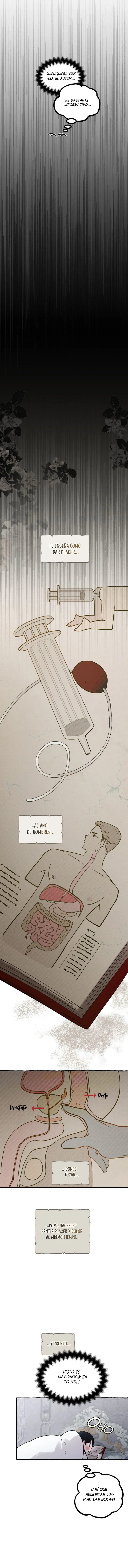 5 Dome al perro del palacio