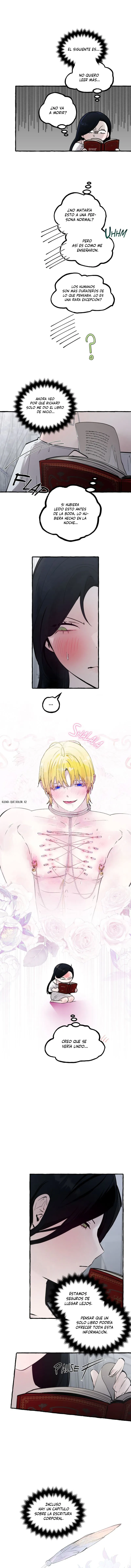 3 Dome al perro del palacio