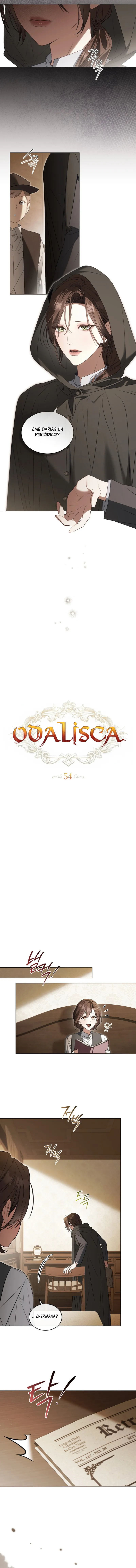 1 Odalisca